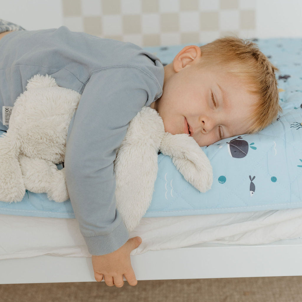 Leakproof Bed Guard