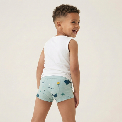 Toilet Training Underwear