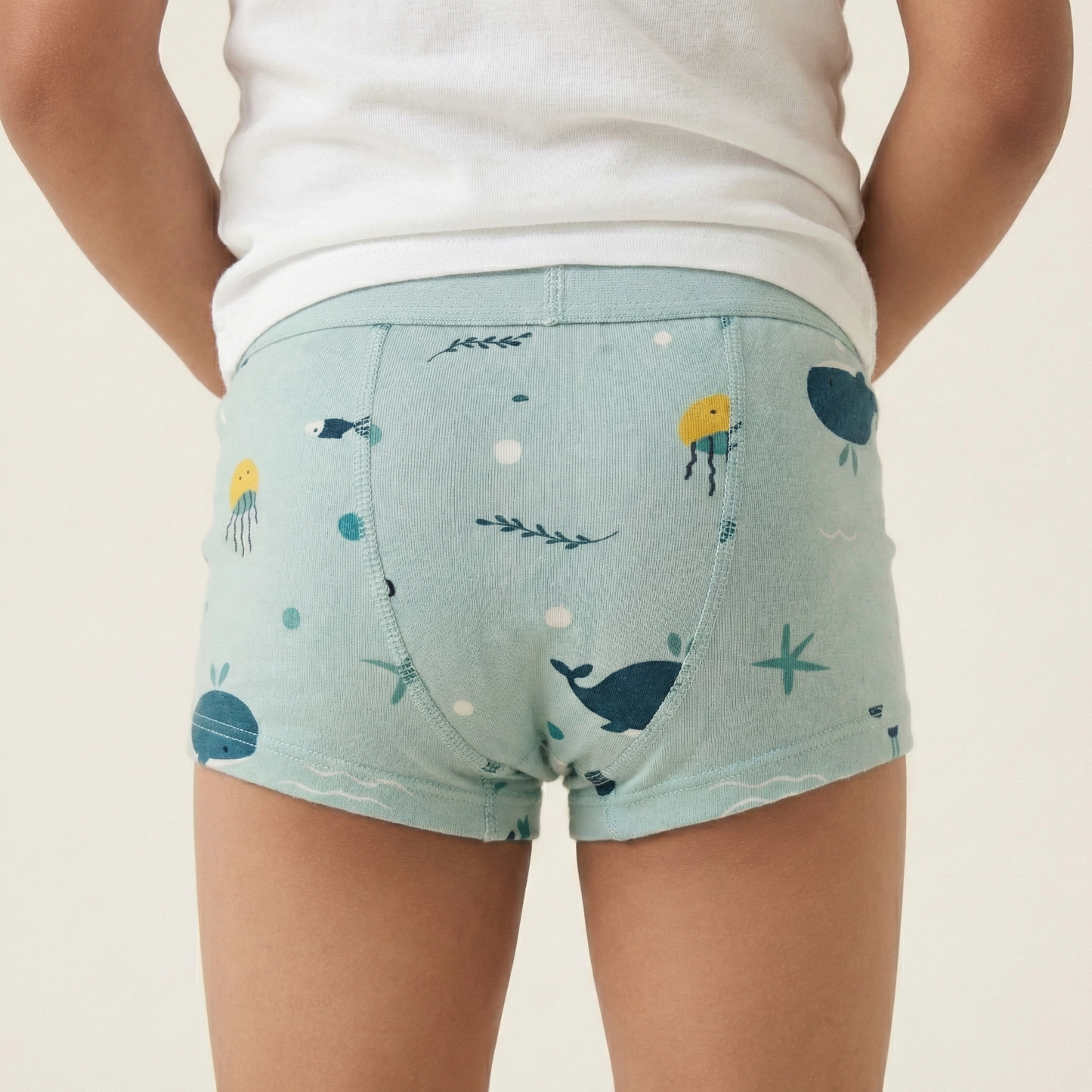 Toilet Training Underwear